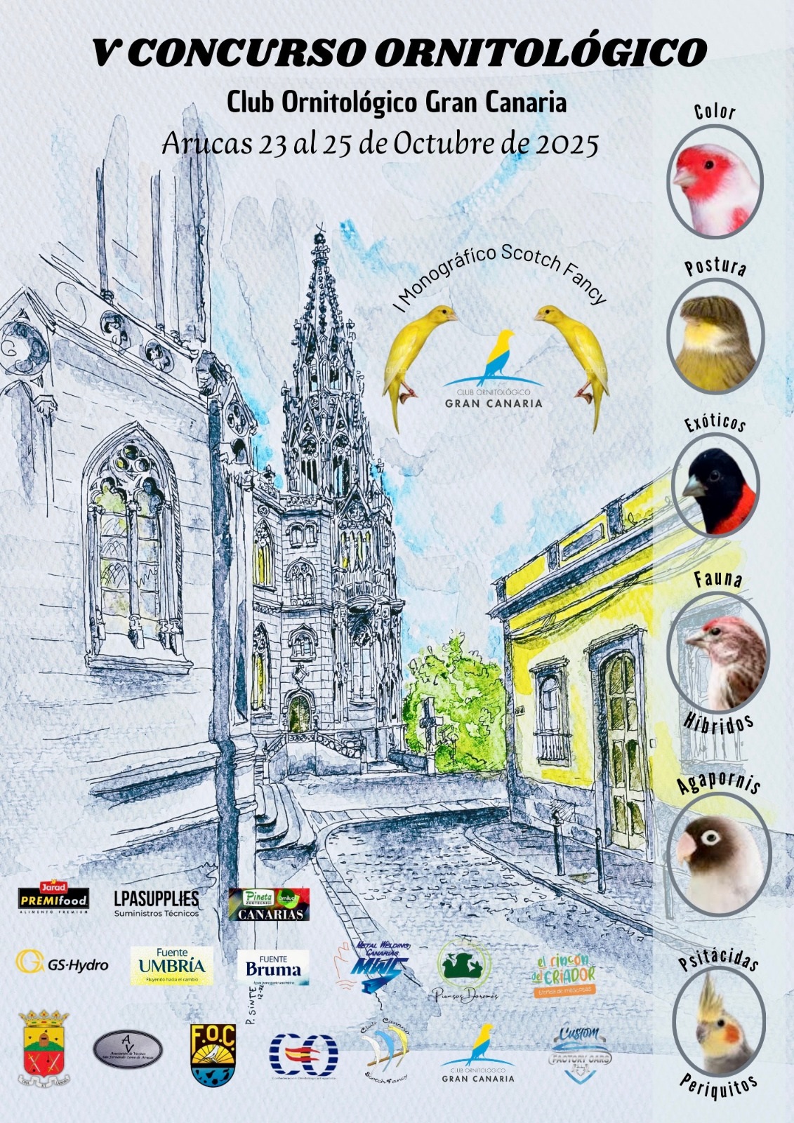 V Concurso - Exposición Club Ornitológico Gran Canaria y I Monográfico Scotch Fancy