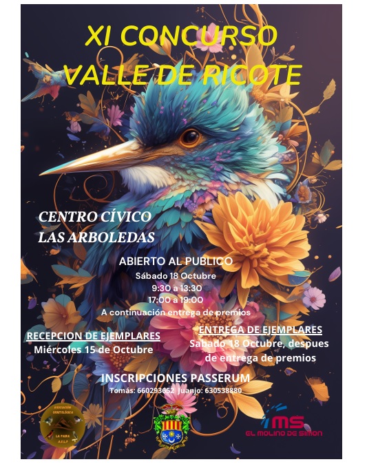 XI Concurso Valle de Ricote