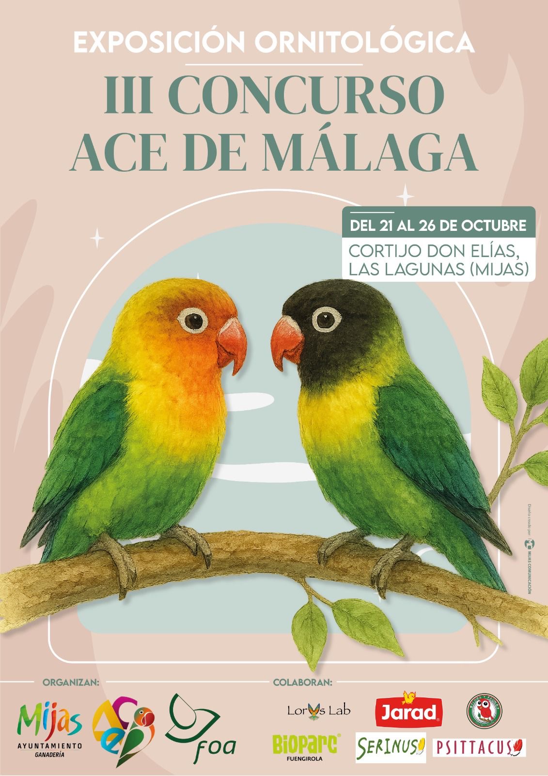 III Concurso ACE Málaga