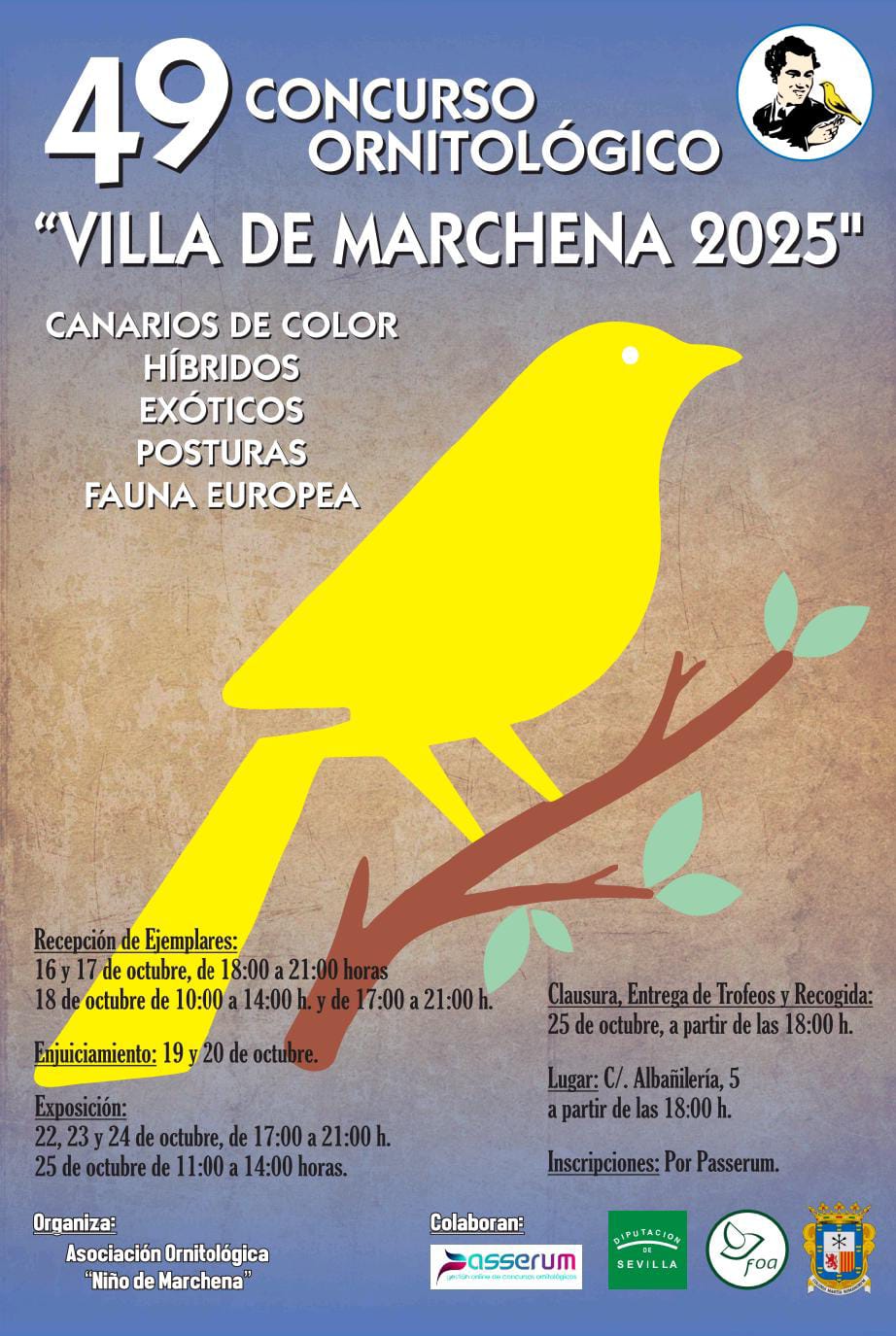 XLIX Concurso ornitológico Villa de Marchena