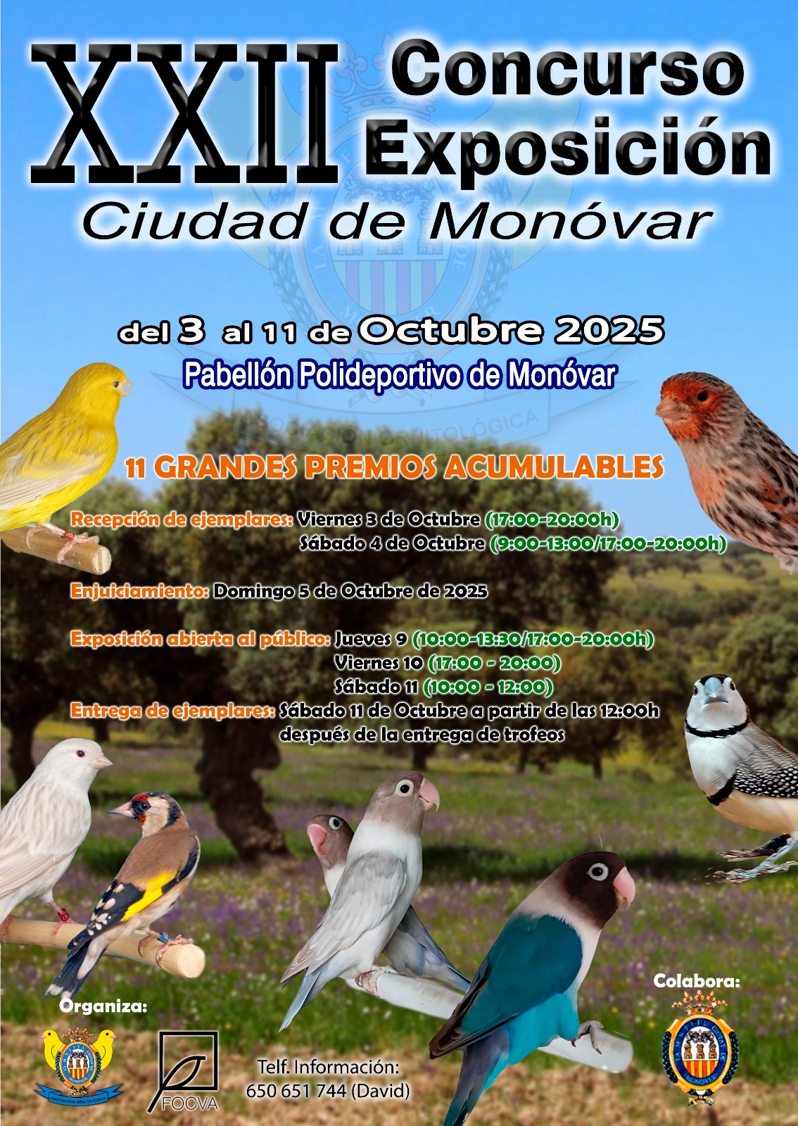 XXII Concurso exposición Ciudad de Monóvar