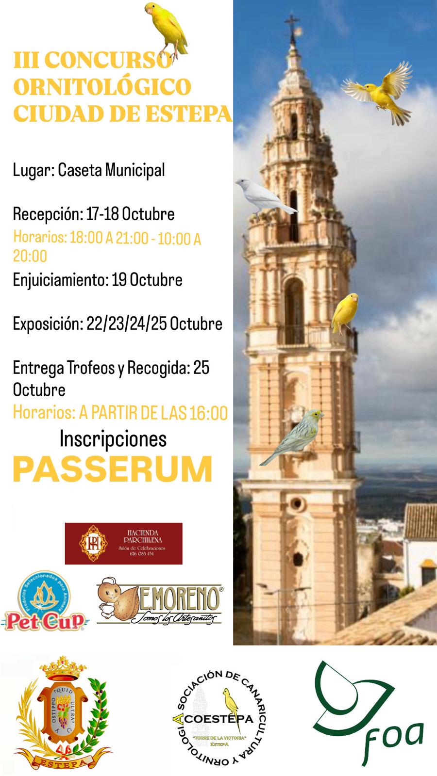 III Concurso Ciudad de Estepa