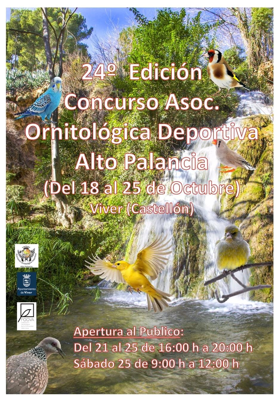 XXIV Concurso ornitológico Asociación Ornitológica Deportiva Alto Palancia