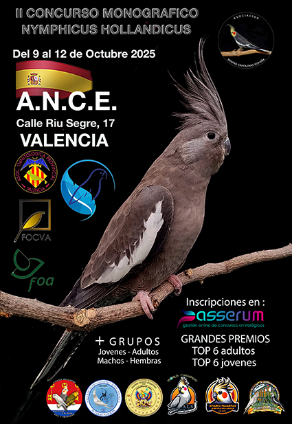 II Monográfico Asociación Ninfas Carolinas España