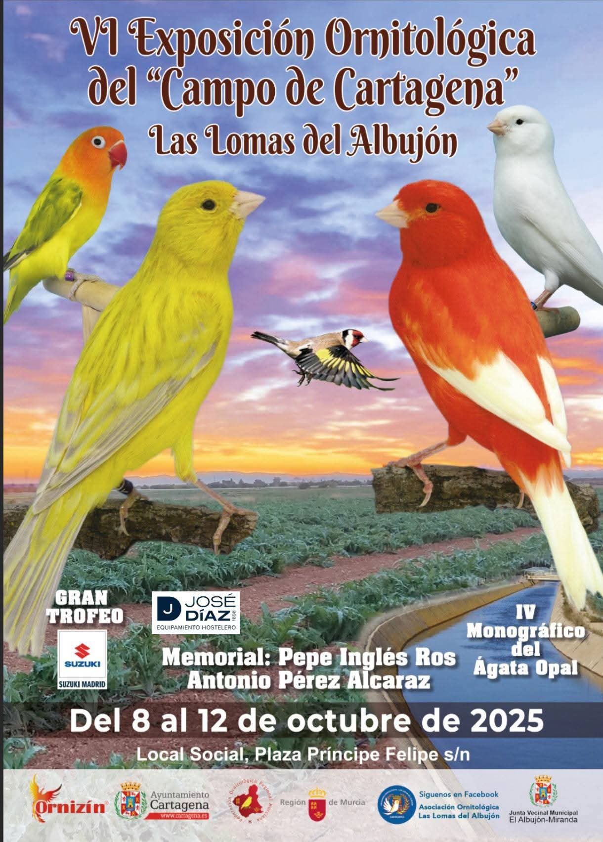 VI Exposición ornitológica Campo de Cartagena
